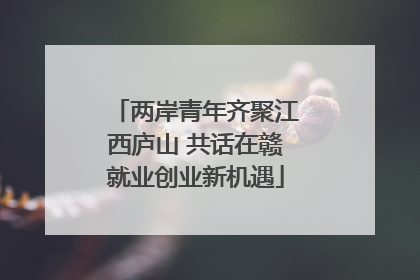 两岸青年齐聚江西庐山 共话在赣就业创业新机遇