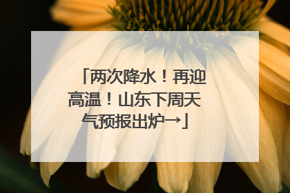 两次降水！再迎高温！山东下周天气预报出炉→