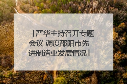 严华主持召开专题会议 调度邵阳市先进制造业发展情况