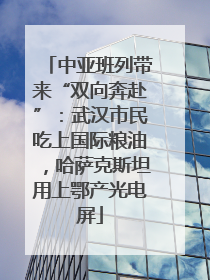 中亚班列带来“双向奔赴”：武汉市民吃上国际粮油，哈萨克斯坦用上鄂产光电屏