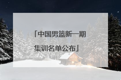 中国男篮新一期集训名单公布