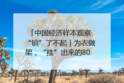 中国经济样本观察·“镇”了不起｜为衣做架，“挂”出来的80亿元“衣架产业”