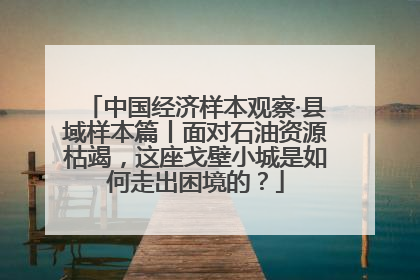 中国经济样本观察·县域样本篇丨面对石油资源枯竭，这座戈壁小城是如何走出困境的？