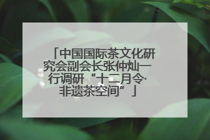 中国国际茶文化研究会副会长张仲灿一行调研“十二月令·非遗茶空间”