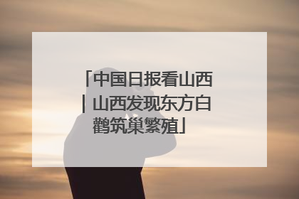 中国日报看山西｜山西发现东方白鹳筑巢繁殖
