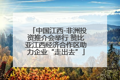 中国江西-非洲投资推介会举行 赞比亚江西经济合作区助力企业“走出去”