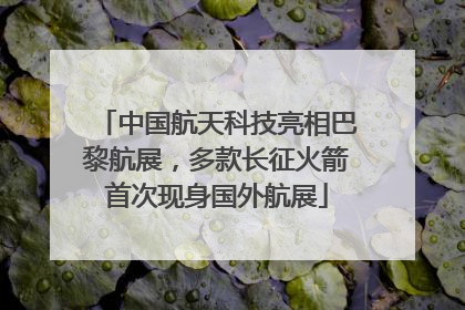 中国航天科技亮相巴黎航展，多款长征火箭首次现身国外航展
