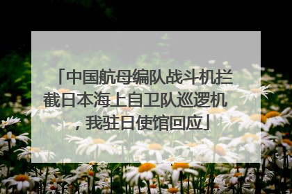 中国航母编队战斗机拦截日本海上自卫队巡逻机，我驻日使馆回应