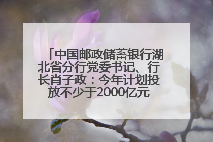 中国邮政储蓄银行湖北省分行党委书记、行长肖子政：今年计划投放不少于2000亿元支持支点建设