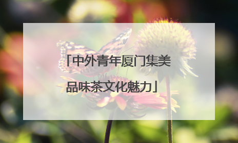 中外青年厦门集美品味茶文化魅力