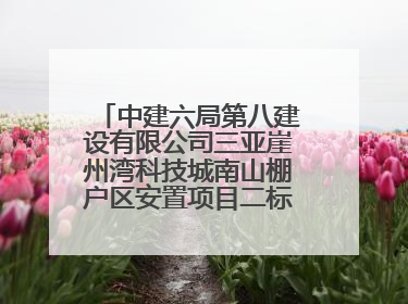中建六局第八建设有限公司三亚崖州湾科技城南山棚户区安置项目二标段顺利通过第一次主体结构验收
