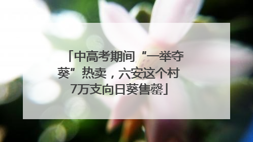 中高考期间“一举夺葵”热卖，六安这个村7万支向日葵售罄