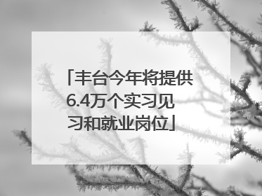丰台今年将提供6.4万个实习见习和就业岗位