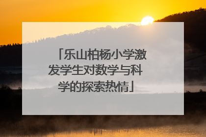 乐山柏杨小学激发学生对数学与科学的探索热情