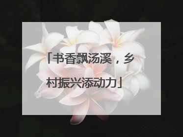 书香飘汤溪，乡村振兴添动力