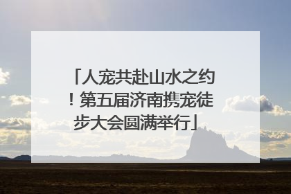 人宠共赴山水之约！第五届济南携宠徒步大会圆满举行