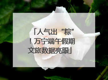 人气出“粽”！万宁端午假期文旅数据亮眼