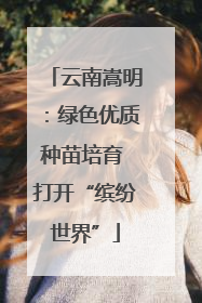 云南嵩明：绿色优质种苗培育 打开“缤纷世界”