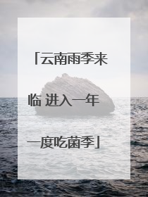 云南雨季来临 进入一年一度吃菌季