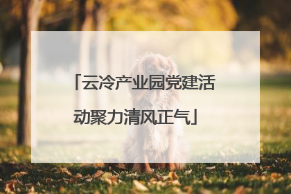 云冷产业园党建活动聚力清风正气