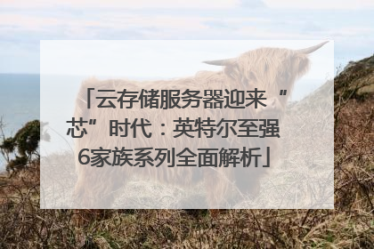 云存储服务器迎来“芯”时代：英特尔至强6家族系列全面解析