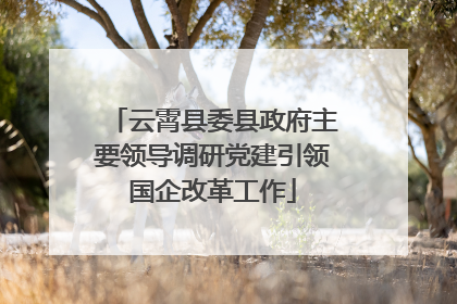 云霄县委县政府主要领导调研党建引领国企改革工作