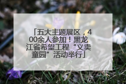 五大主题展区，400余人参加！黑龙江省希望工程“义卖童园”活动举行