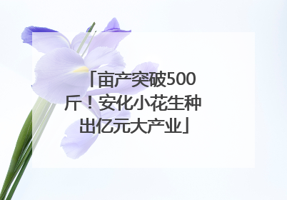 亩产突破500斤！安化小花生种出亿元大产业
