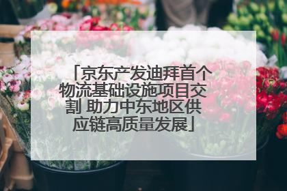 京东产发迪拜首个物流基础设施项目交割 助力中东地区供应链高质量发展