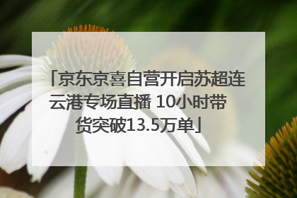 京东京喜自营开启苏超连云港专场直播 10小时带货突破13.5万单