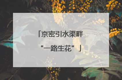 京密引水渠畔“一路生花”