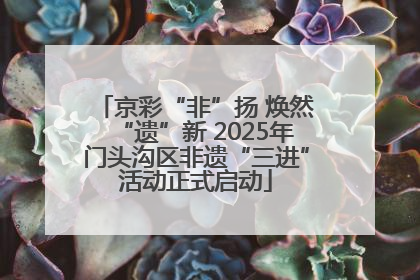 京彩“非”扬 焕然“遗”新 2025年门头沟区非遗“三进”活动正式启动