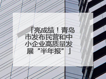 亮成绩！青岛市发布民营和中小企业高质量发展“半年报”