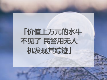 价值上万元的水牛不见了 民警用无人机发现其踪迹