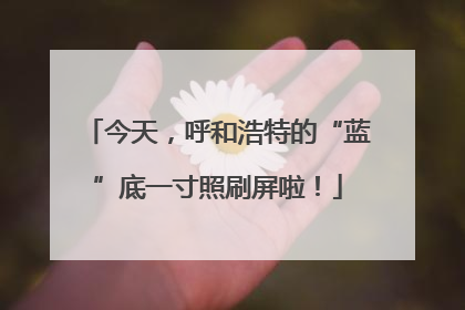 今天，呼和浩特的“蓝”底一寸照刷屏啦！