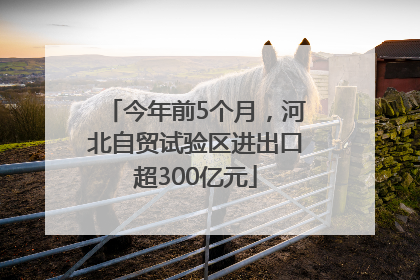 今年前5个月，河北自贸试验区进出口超300亿元