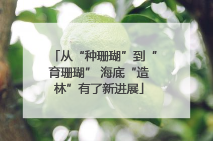 从“种珊瑚”到“育珊瑚” 海底“造林”有了新进展