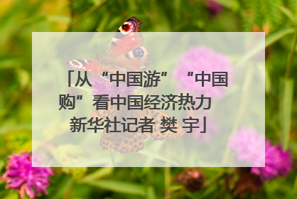 从“中国游”“中国购”看中国经济热力 新华社记者 樊 宇