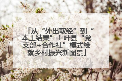 从“外出取经”到“本土结果”！叶县“党支部+合作社”模式绘就乡村振兴新图景