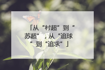 从“村超”到“苏超”，从“追球”到“追求”