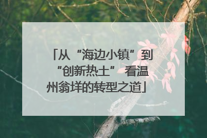 从“海边小镇”到“创新热土” 看温州翁垟的转型之道
