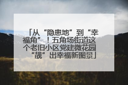 从“隐患地”到“幸福角”！五角场街道这个老旧小区党建微花园“靓”出幸福新图景