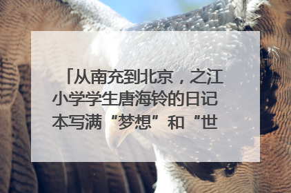从南充到北京，之江小学学生唐海铃的日记本写满“梦想”和“世界”｜您牵挂的四川