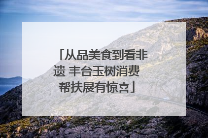 从品美食到看非遗 丰台玉树消费帮扶展有惊喜