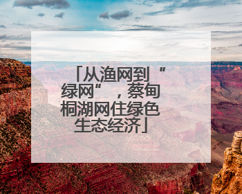 从渔网到“绿网”，蔡甸桐湖网住绿色生态经济