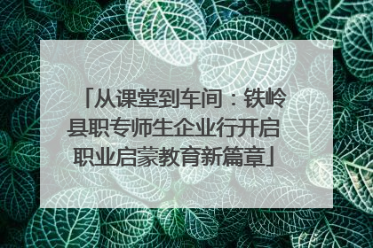 从课堂到车间：铁岭县职专师生企业行开启职业启蒙教育新篇章