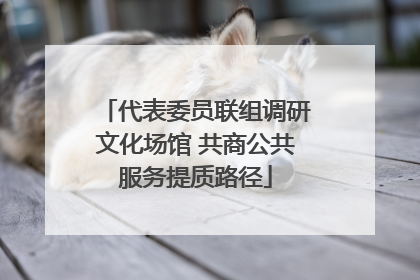 代表委员联组调研文化场馆 共商公共服务提质路径