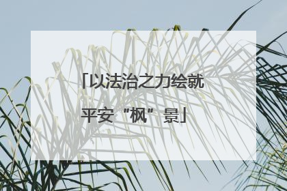 以法治之力绘就平安“枫”景