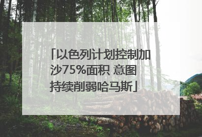 以色列计划控制加沙75%面积 意图持续削弱哈马斯