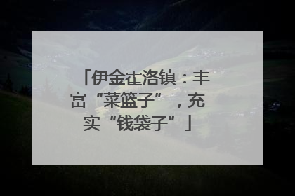 伊金霍洛镇：丰富“菜篮子”，充实“钱袋子”